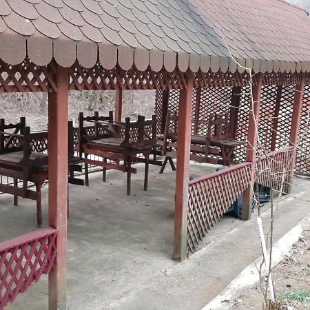 Pensiunea Lucica Sacelu Ngoại thất bức ảnh