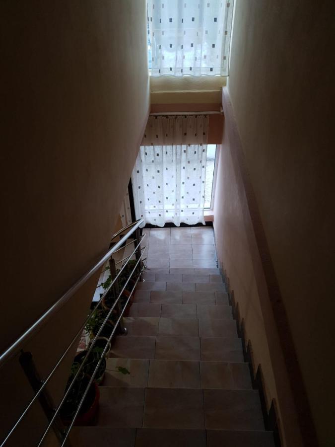 Pensiunea Lucica Sacelu Ngoại thất bức ảnh