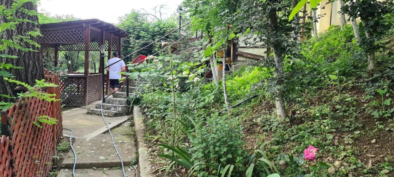 Pensiunea Lucica Sacelu Ngoại thất bức ảnh